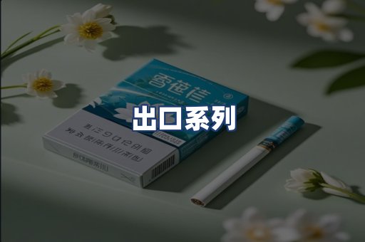 出口系列